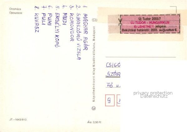 Oroshaza Kirchen Denkmal – Bild 2