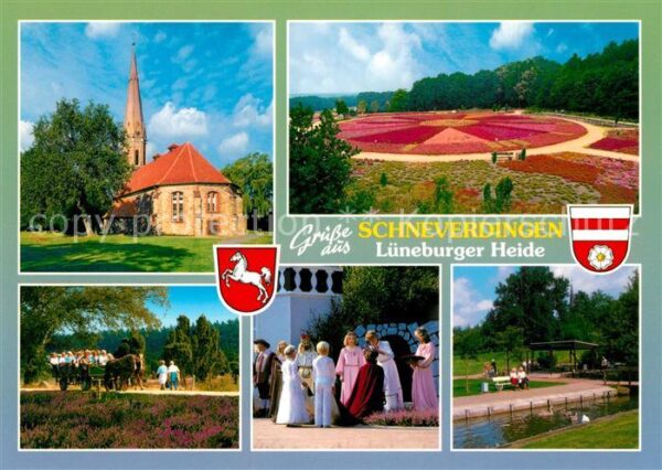 Schneverdingen Lüneburger Heide Kirche Park