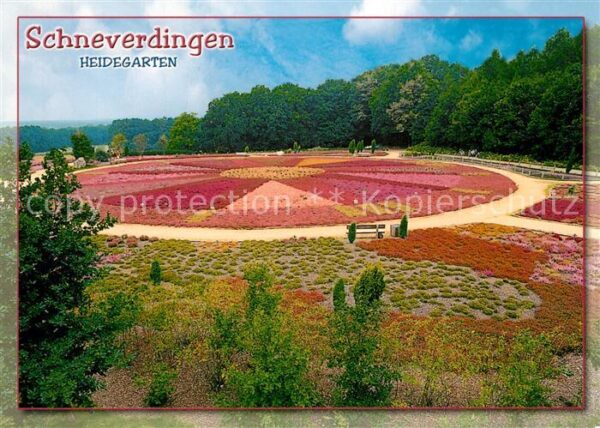 Schneverdingen Park Heidegarten im Höpen