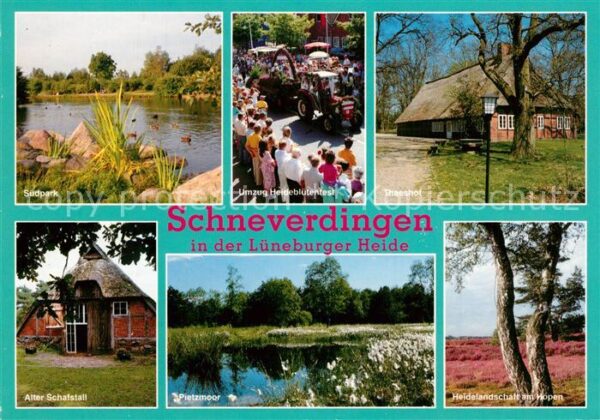 Schneverdingen Südpark Umzug-Heideblütenfes Theeshof P