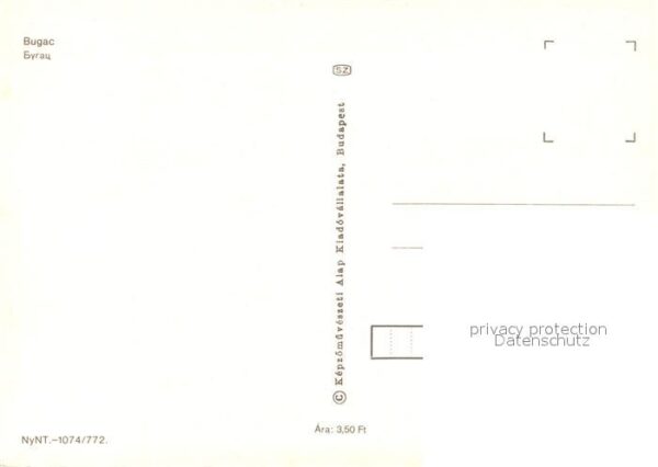Bugac Rinder und Schafherden – Bild 2