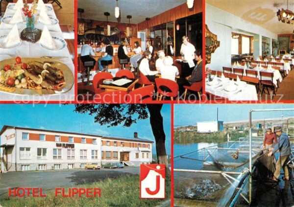 Javorina Hotel Flipper