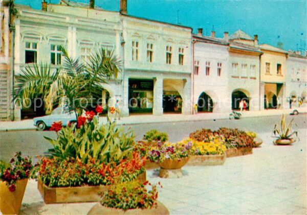Zilina Dukla