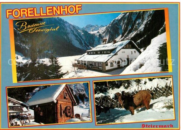 Aich Assach Steiermark Forellenhof Winterlandschaft