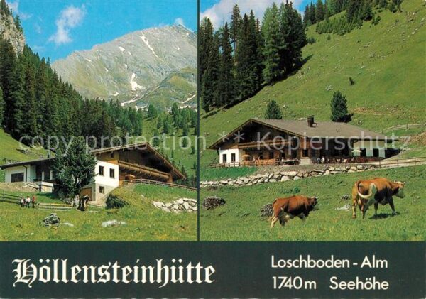 Lanersbach Höllensteinhütte Alm Kühe
