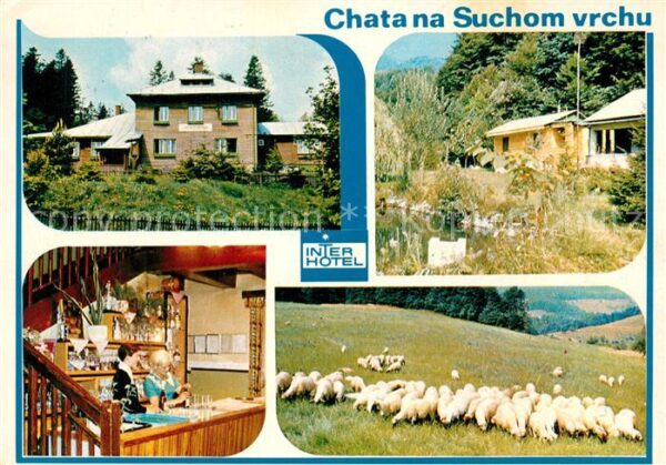 Chata Tschechien Suchom vrch Schafe Interhotel