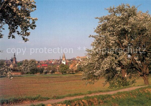 Eisleben Blick von Osten