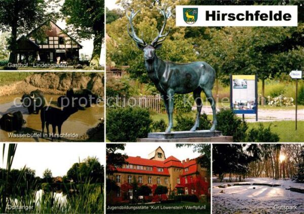 Hirschfelde Werneuchen Gasthof Lindengarten Wasserbüffel Hirsc