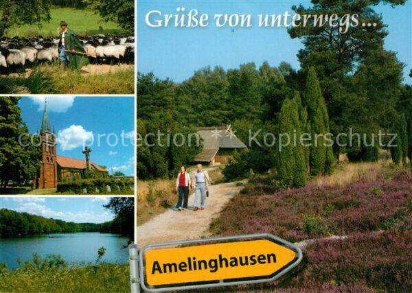 Amelinghausen Lueneburger Heide Schafherde Kiche See Wandern Heidelands