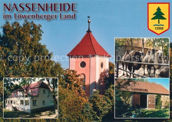 Nassenheide Dorfkirche Kamele Fleckschnupphof Kinde