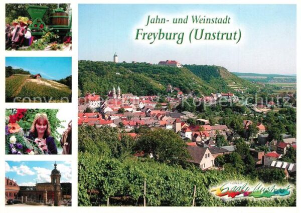 Freyburg Unstrut Stadtpanorama Festumzug Winzerfest Schl