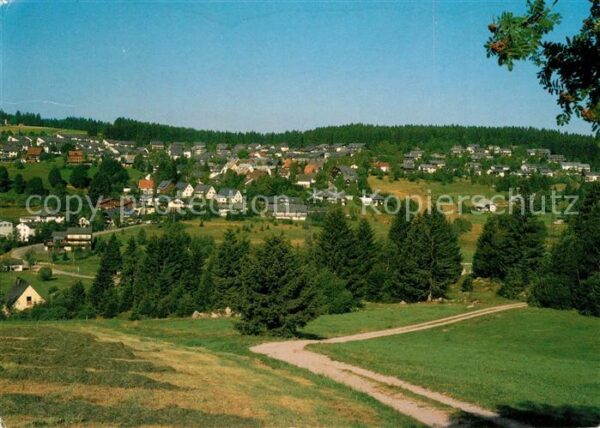 Schoenwald Schwarzwald Panorama Höhenluftkurort Wintersportpla