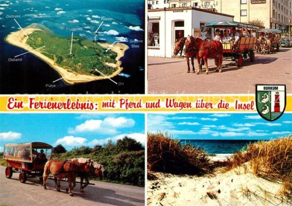 Borkum mit Pferd und Wagen über die Insel Düne