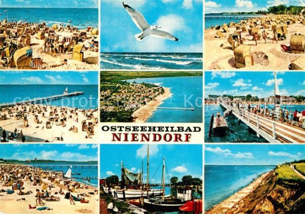 Niendorf Ostseebad Strand Seebrücke Fischerhafen Möwe Stei