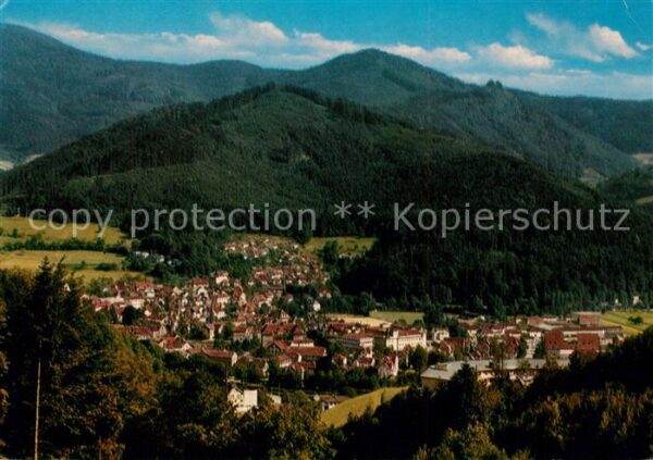 Waldkirch Breisgau Panorama Blick von der Kastelburg Schwa