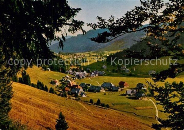 Menzenschwand Panorama Luftkurort im Schwarzwald