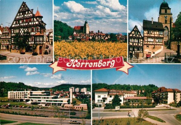 Herrenberg Wuerttemberg Fachwerk Kirche Panorama