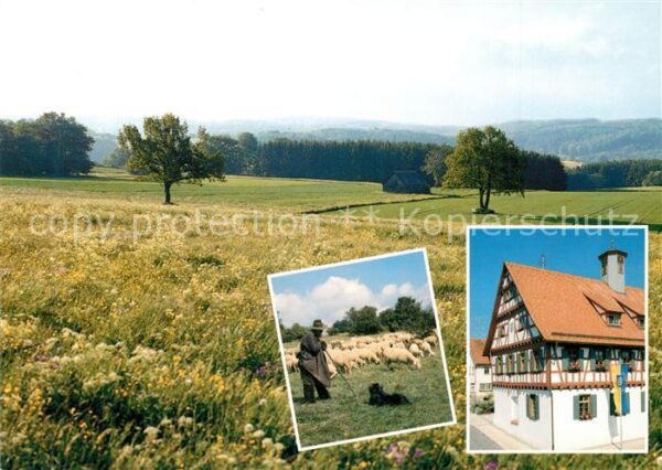 Laichingen Alblandschaft mit Altem Rathaus und Sch
