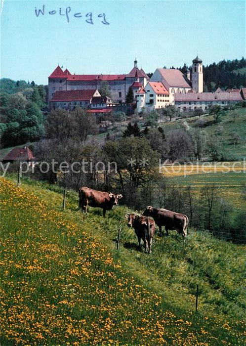 Wolfegg Pfarr und Stiftskirche