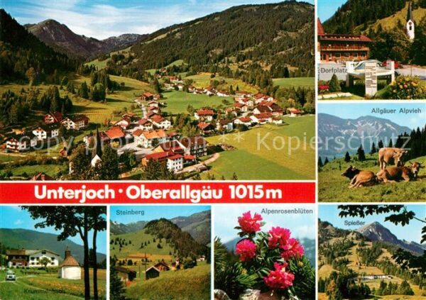 Unterjoch Panorama Dorfplatz Allgäuer Alpvieh Kru