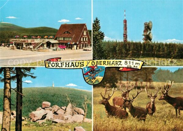 Torfhaus Harz Sporthotel Brockenblick