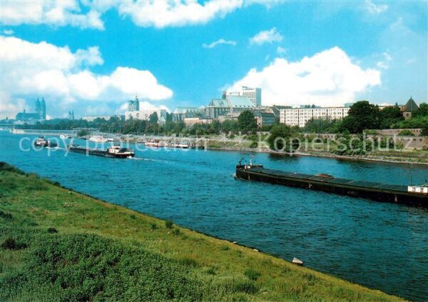Magdeburg Panorama Elbe