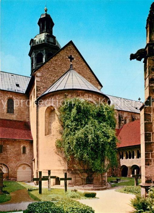 Hildesheim Domchor 1000-jähriger Rosenstock