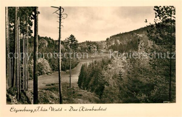 Elgersburg Panorama Körnbachtal Thüringer Wald