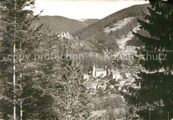 Leutenberg Thueringen Ansicht vom Waldrand aus Blick ins Tal