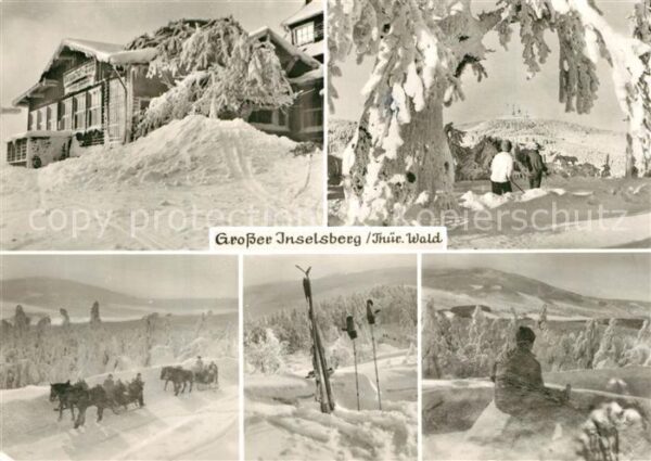 Grosser Inselsberg Winterpanorama Pferdeschlitten Berggast