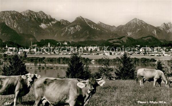 Fuessen Allgaeu Panorama Viehweide