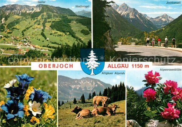 Oberjoch Panorama Iseler Hochvogel Jochkanzel En