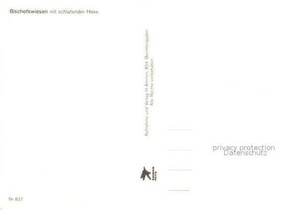 Bischofswiesen Panorama schlafende Hexe – Bild 2
