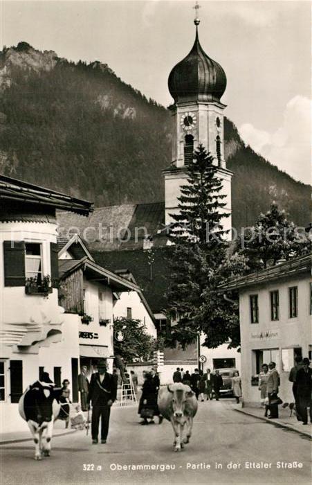 Oberammergau Ettaler-Strasse Kühe Kirche