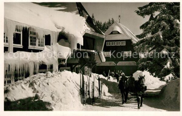 Feldberg Schwarzwald Hotel Kurhaus Hebelhof Pferdewagen