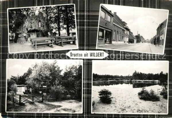 Wildert