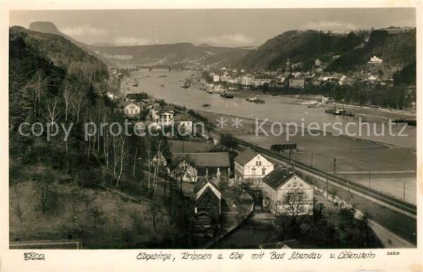Foto Hahn Nr. 3620 Elbgebirge Krippen Bad Schandau Li