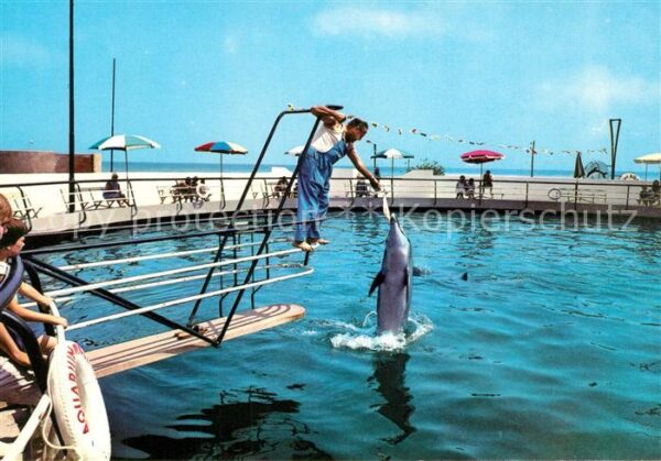 Delfine Delphine Dolphins Dauphins Delfi Riccione Lungomare Aquarium