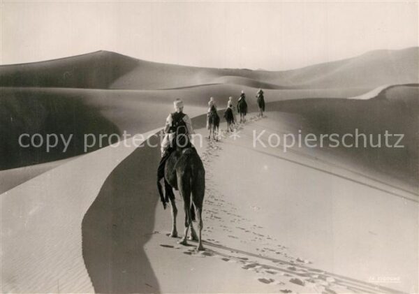 Kamel  Camel Chameau Meharist en Patrouille