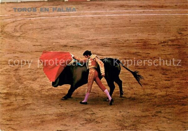 Stierkampf Toros en Palma