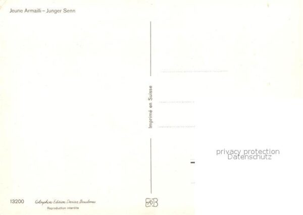 Sennerei Junger Senn – Bild 2