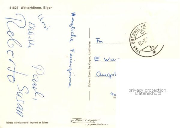 Alphorn Alphornbläser Wetterhörner Eiger Kühe – Bild 2