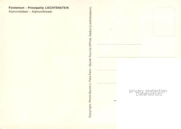 Alphorn Alphornbläser Fürstentum Liechtenstein – Bild 2