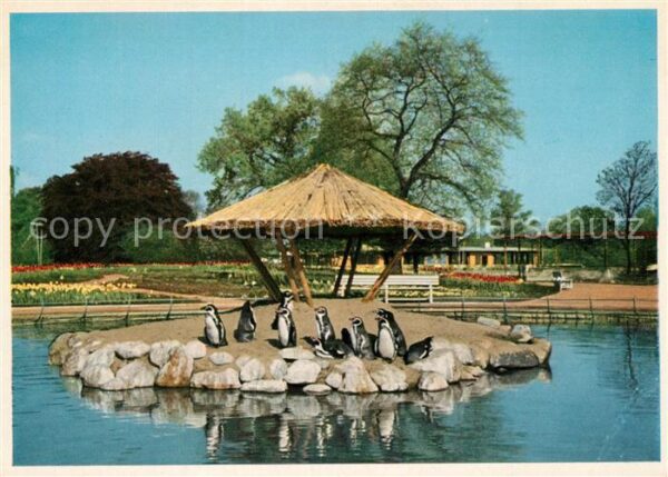Pinguin Internationale Gartenbau-Ausstellung Ha
