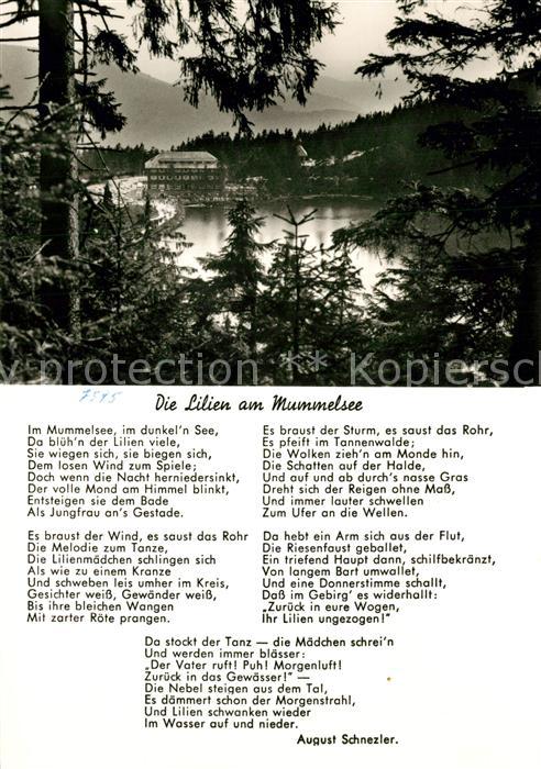 Sasbachwalden Berghotel Mummelsee
