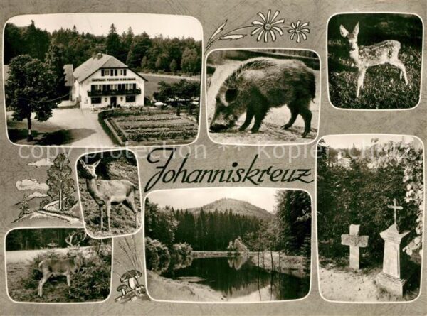 Johanniskreuz Gasthaus Hch. Braband