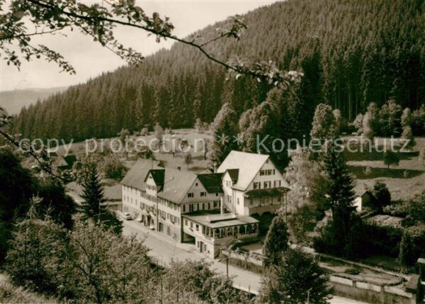 Berneck Alpirsbach Gasthof Waldhorn