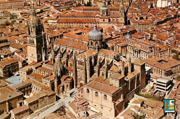 Salamanca Cathedrales Vista aerea