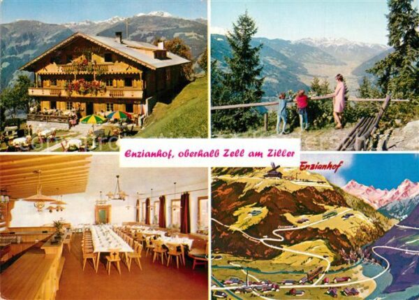 Zell Ziller Tirol Alpengasthof Enzianhof