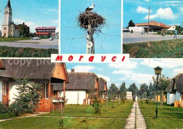 Moravci